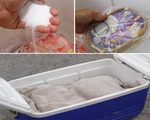 Keep-ice-cream-frozen-in-a-cooler-without-dry-ice